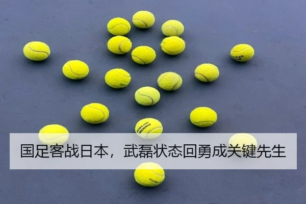guo-zu-ke-zhan-ri-ben-wu-lei-zhuang-tai-hui-yong-cheng-guan-jian-xian-sheng-2-961.jpg